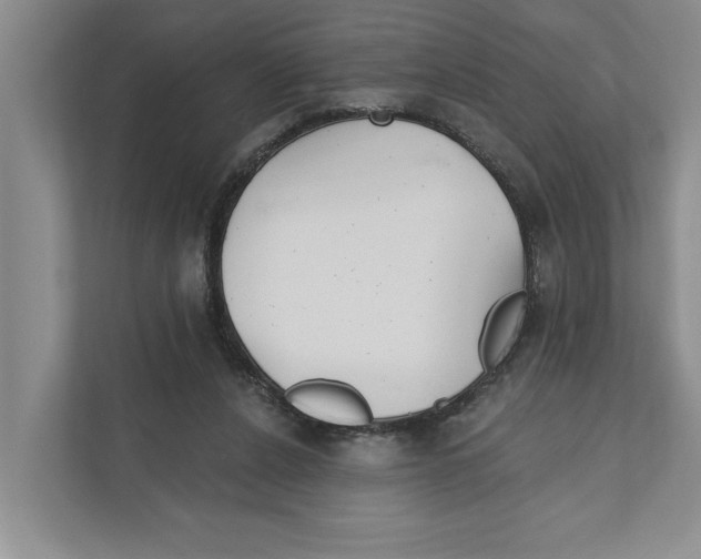 X0000111170256200907291129