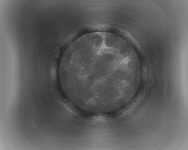 X0000111170259200907291129