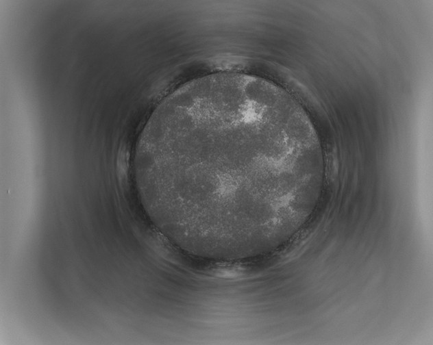 X0000111170263200907291129