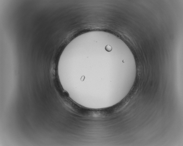 X0000111170264200907291129