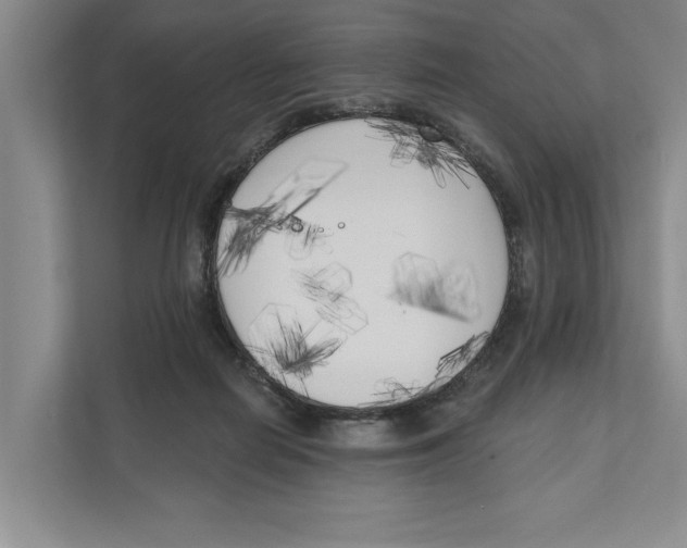 X0000111170266200907291129