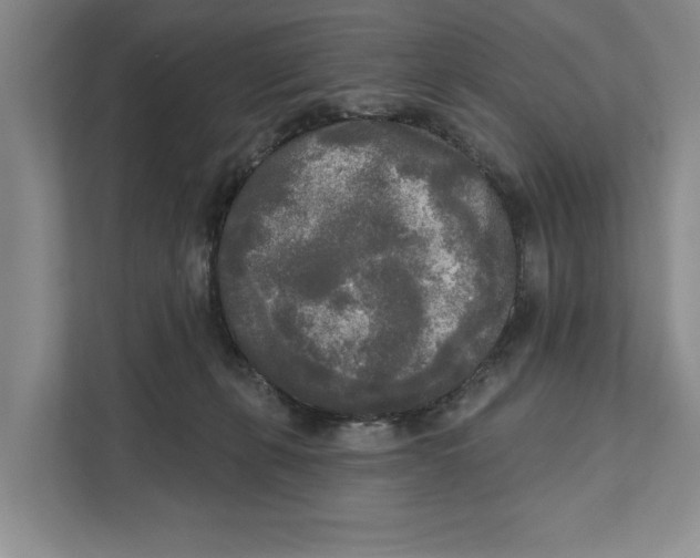 X0000111170271200907291129