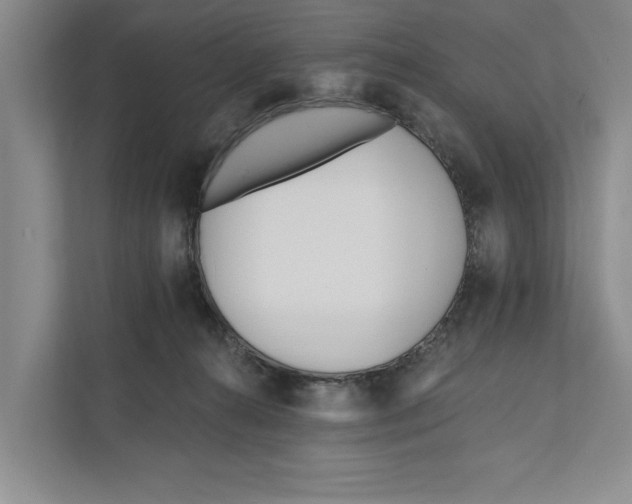 X0000111170272200907291129