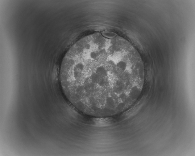 X0000111170273200907291129