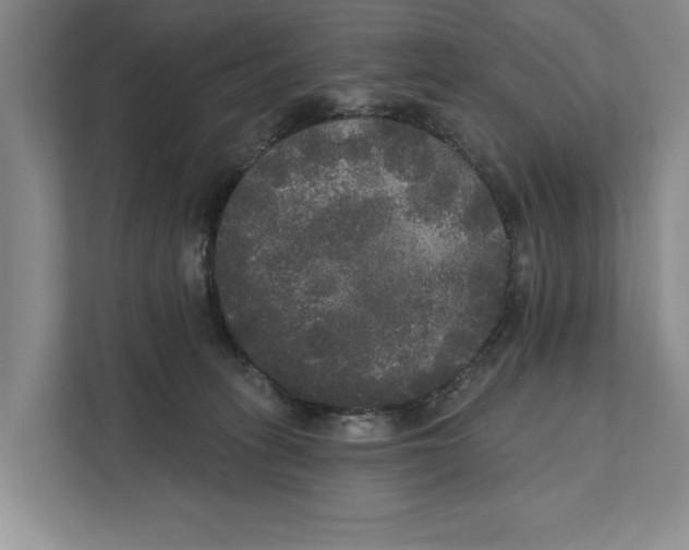 X0000111170275200907291129