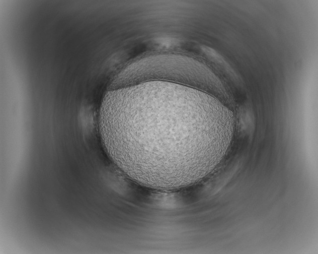 X0000111170276200907291129