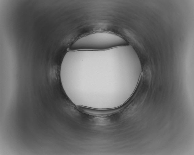 X0000111170280200907291129