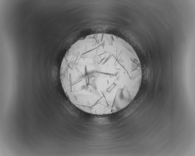 X0000111170283200907291129