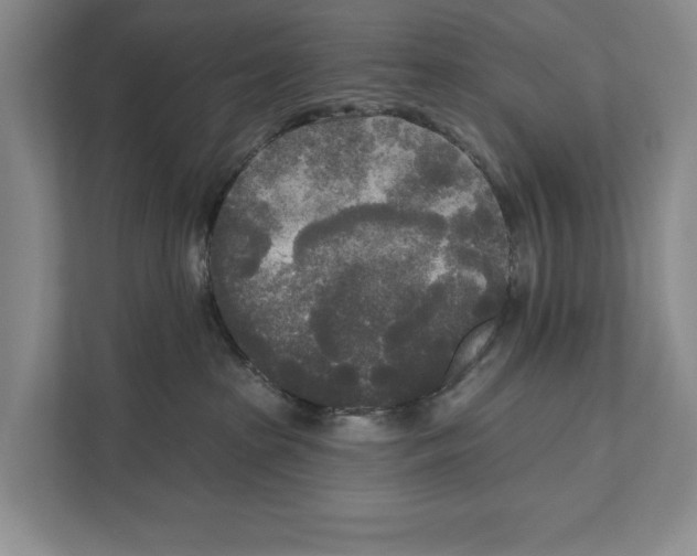 X0000111170285200907291129