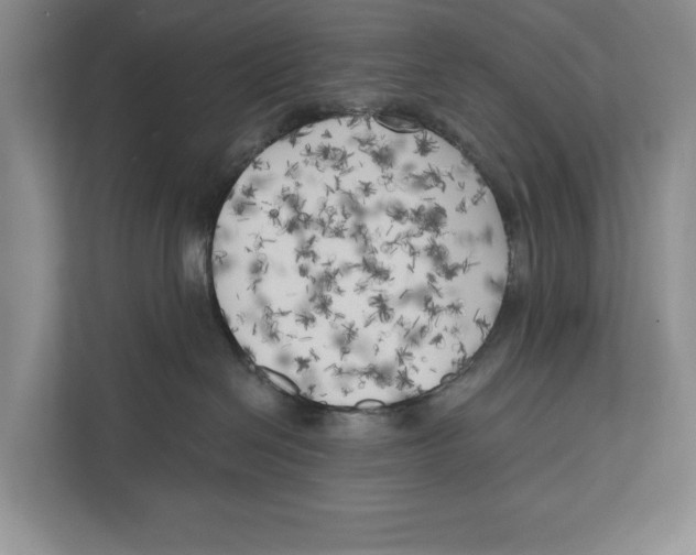 X0000111170286200907291129