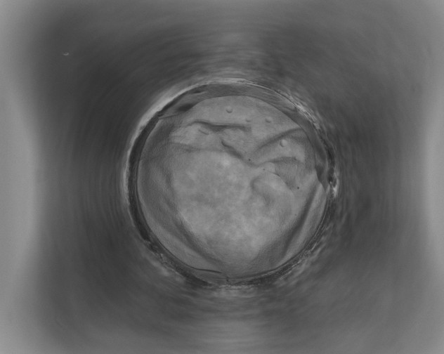 X0000111170292200907291129