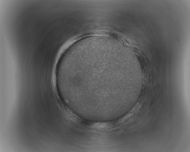 X0000111170294200907291129