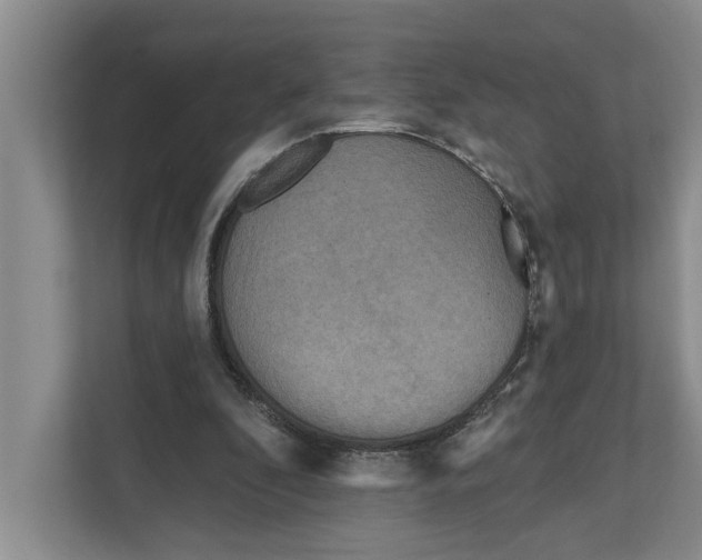 X0000111170296200907291129