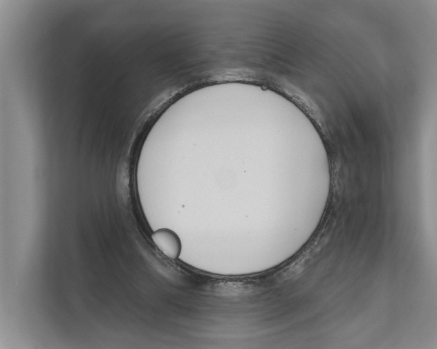 X0000111170298200907291129