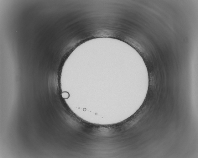 X0000111170302200907291128