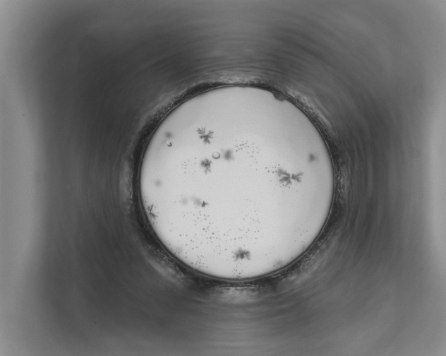 X0000111170303200907291128