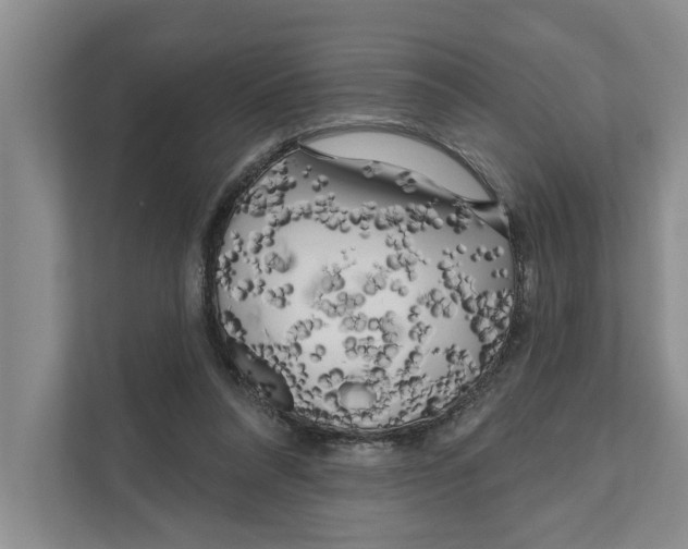 X0000111170304200907291128