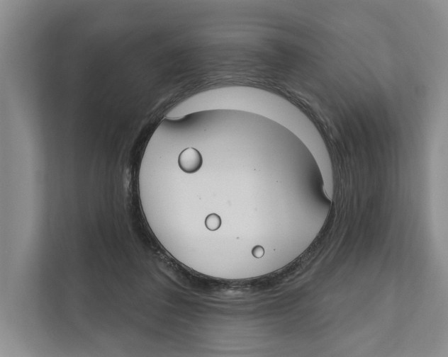 X0000111170308200907291128