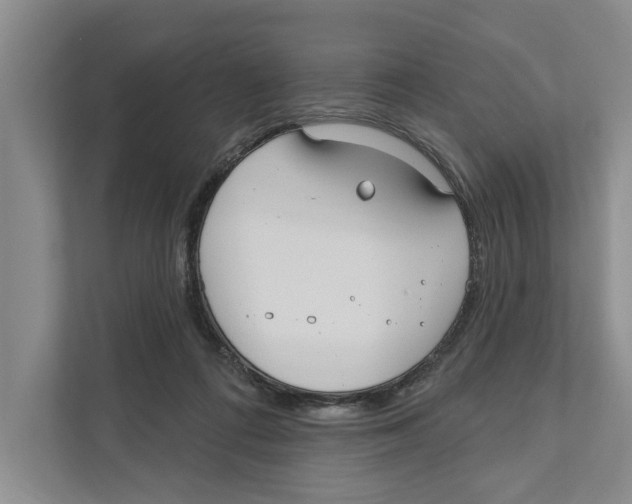 X0000111170312200907291128