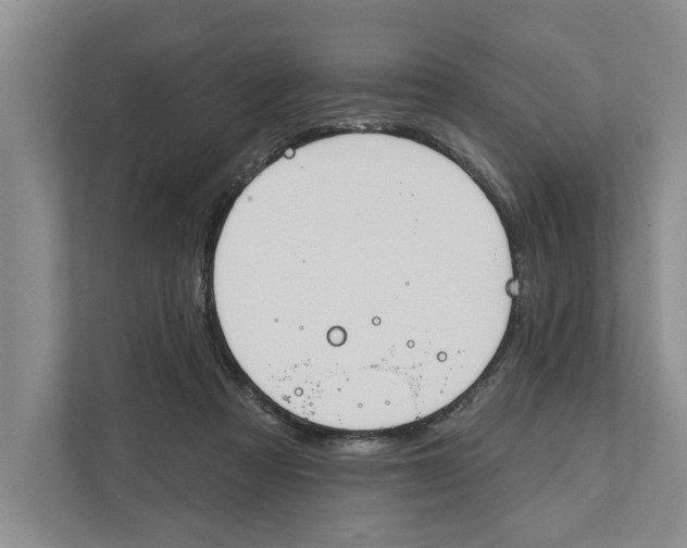 X0000111170313200907291128