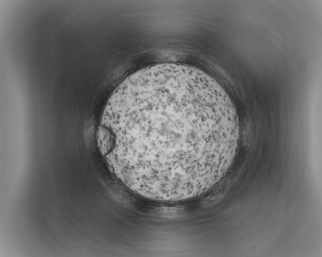 X0000111170314200907291128