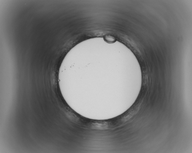 X0000111170317200907291128