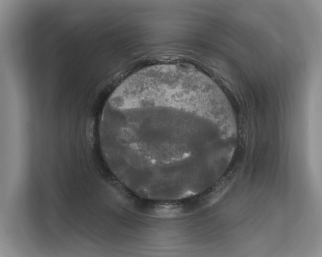 X0000111170319200907291128