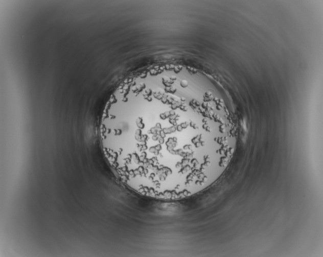 X0000111170324200907291128