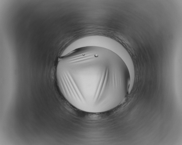 X0000111170325200907291128