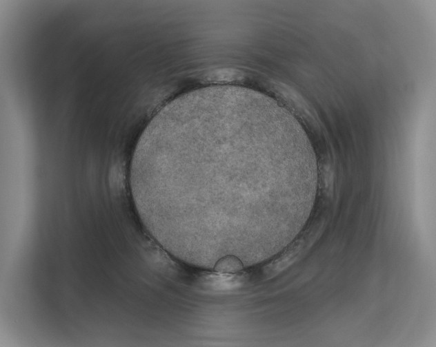 X0000111170326200907291128