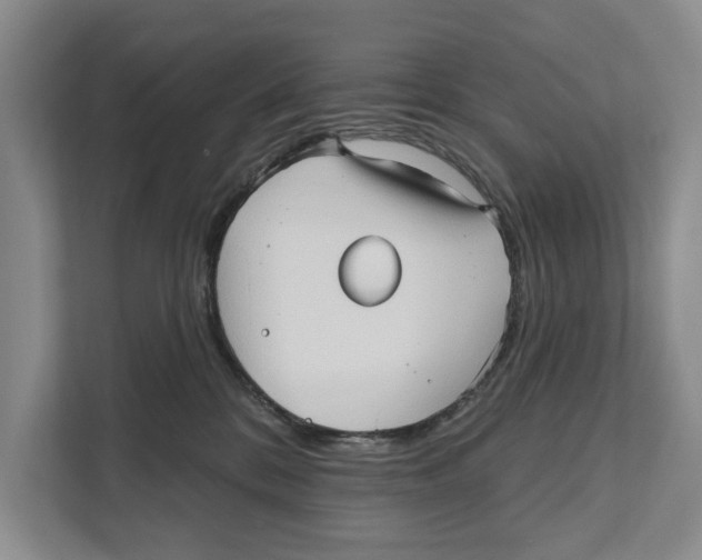 X0000111170328200907291128