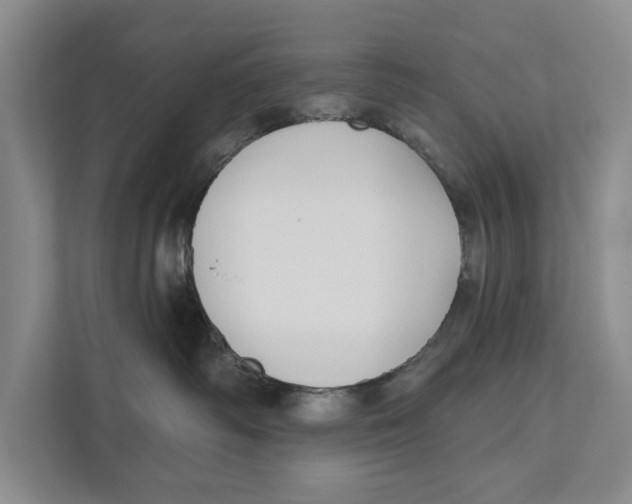 X0000111170334200907291128