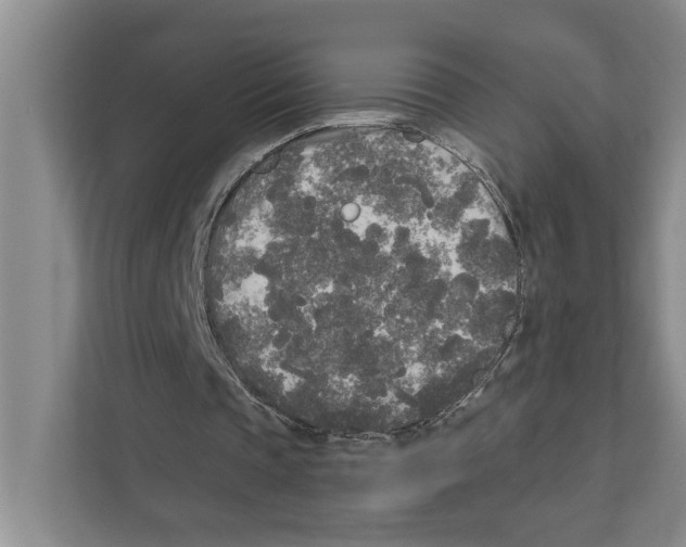 X0000111170337200907291127