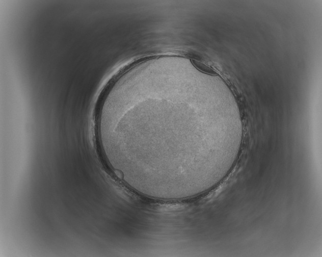 X0000111170342200907291127