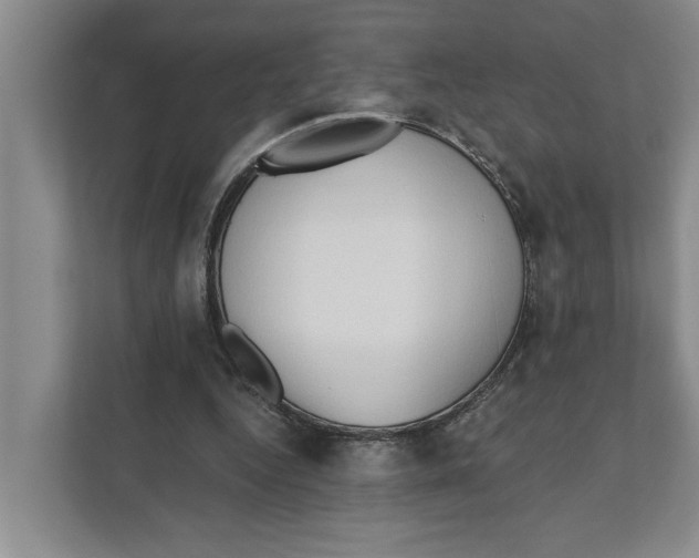 X0000111170344200907291128