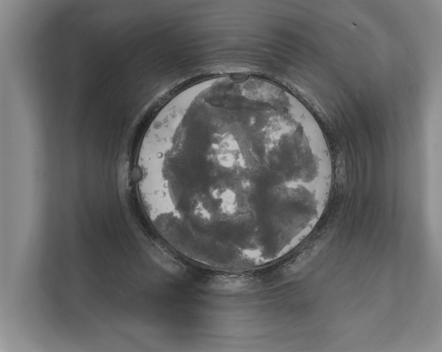 X0000111170351200907291128