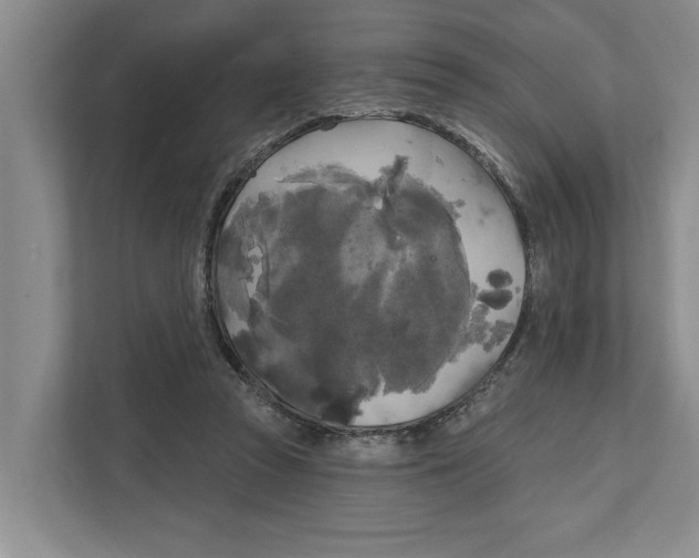 X0000111170353200907291128