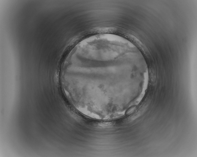 X0000111170357200907291128