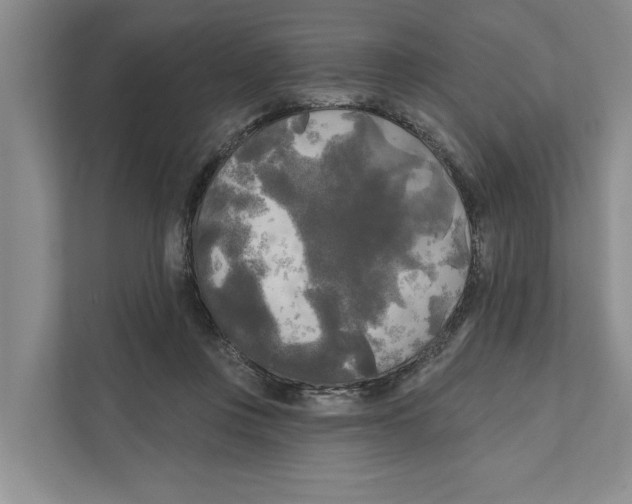 X0000111170359200907291128