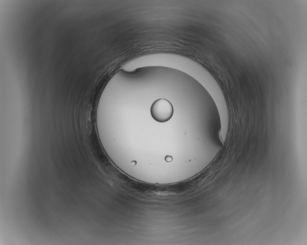 X0000111170360200907291128