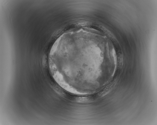 X0000111170361200907291128