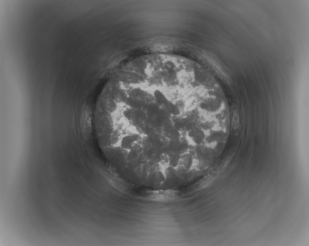 X0000111170363200907291128