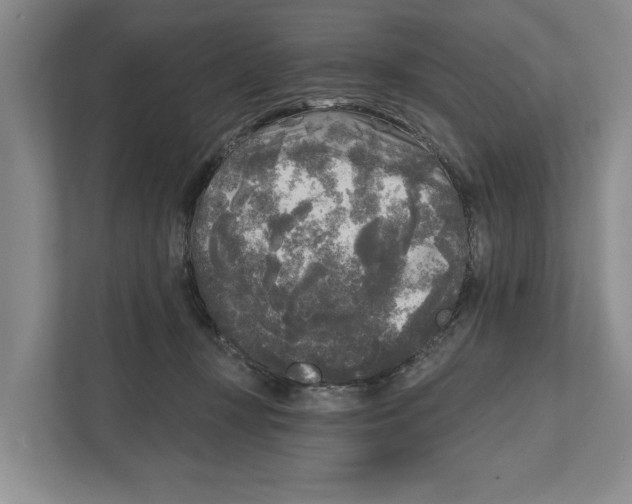 X0000111170367200907291128