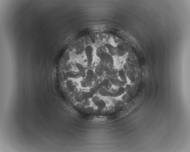 X0000111170369200907291128