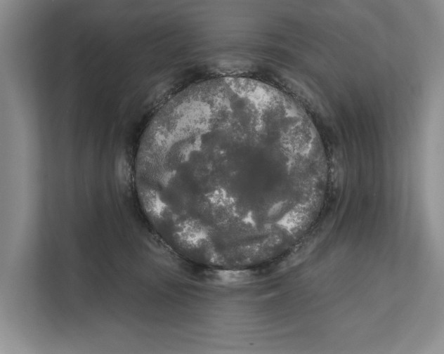 X0000111170371200907291128