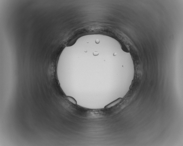 X0000111170372200907291128