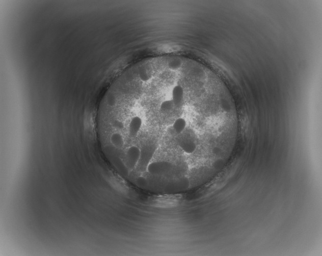 X0000111170373200907291128