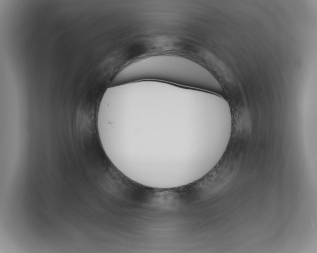 X0000111170376200907291128