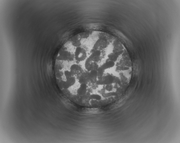 X0000111170377200907291128