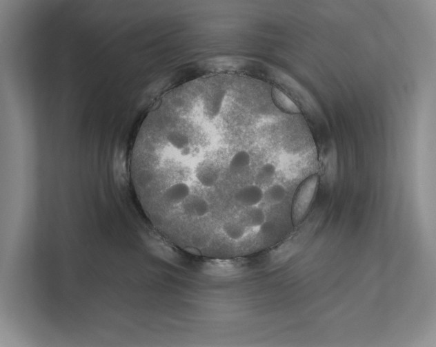 X0000111170381200907291128